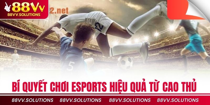 Bí quyết chơi Esports hiệu quả từ cao thủ