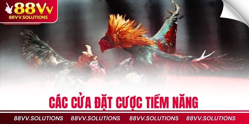 Các cửa đặt cược tiềm năng