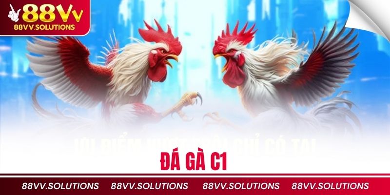 Đá gà C1