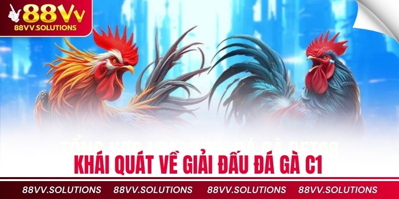 Khái quát về giải đấu đá gà C1