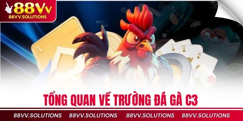 Tổng quan về trường đá gà C3